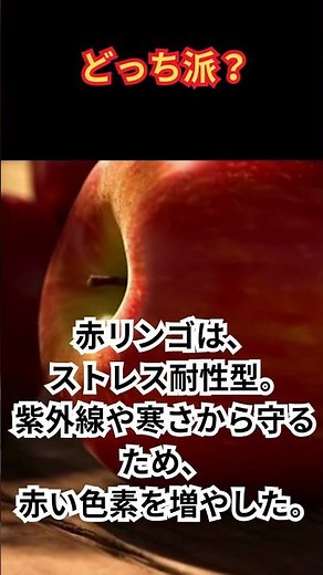 実は赤リンゴと青リンゴには理由があるなぜ味も健康効果も違うのか？生物学でわかる品種の秘密 #雑学 #プチ知識 #ゆっくり解説 #ゆっくり解説 #一分でわかる #サイエンス#りんご