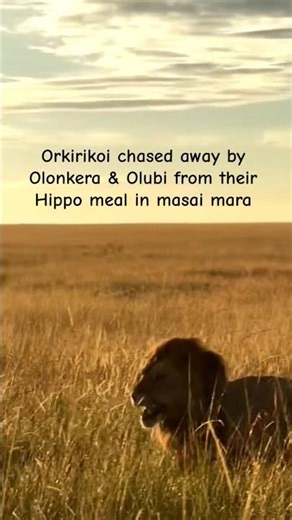 Rongai rockers R5 having Hippo meal & Orkirikoi approached but were chased away by Olubi & Olonkera