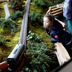 51K views · 121 reactions | The 28th Annual Holiday Train Show is stopping folks in their tracks with model trains zipping through more than 175 famous New York landmarks this holiday season! | Localish | Facebook