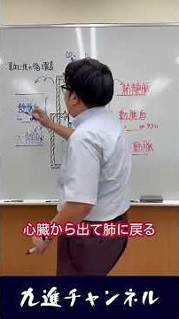1分で分かる血液の循環