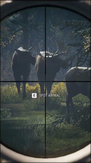 Hunting Moose in Finland | #thehuntercallofthewildgameplay