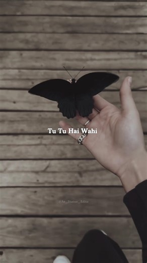 Tu Tu Hai Wahi Dil Ne Jise Apna Kaha | Romantic Old Hindi Song | Love Status | Aesthetic #shorts