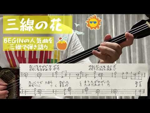 三線の花/BEGIN 三線弾き語り