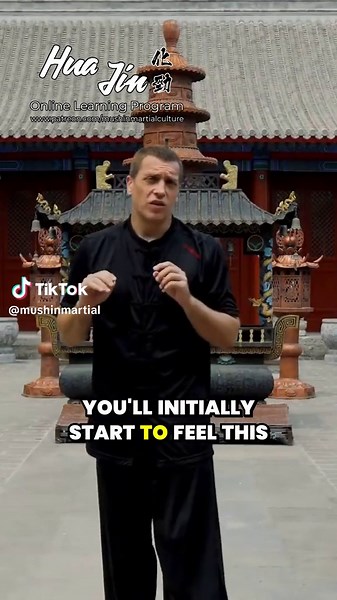 Enhance Your Skills with Snake Kung-Fu Body Mechanics