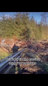 Did not expect the ending #viralreelsfb #facebookreels #indexcardchallenge #instagram #animallover #huntinglife #viralvideo #Tiktok #photo #GRAMMYs2023 #GrammyAwards | Willie Lee Cooper