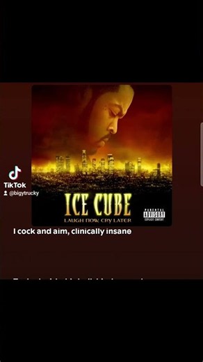 Ice Cube - Why we Thugs #old #lyricvideo #foryou #viralvideo #thuglife