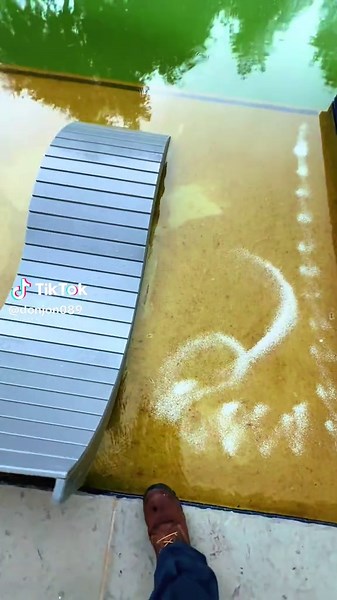 Don Jon (@donjon089)’s videos with original sound - Httpjack