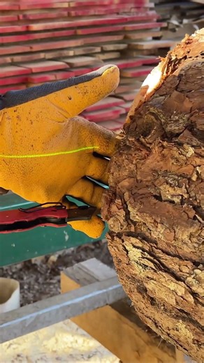This knife trick splits logs cleanly every time #satisfying #diy