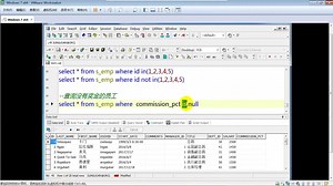 Java教程 2数据查询SQL操作 学习猿地