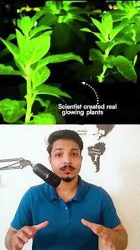 This Plant Glows Like Avatar and It Actually Works #technology #biotechnology #future