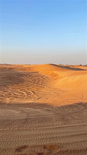 𝒶𝓂𝒷𝓈 🖤 | my favourite people, places and memories of 2025 🪽one of the best years of my life! #2025 | Instagram