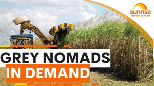 Grey nomads in demand