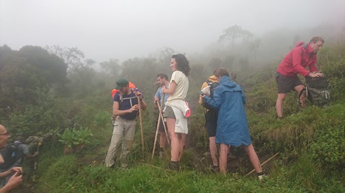 Hiking Mount Bisoke in Rwanda - Height and Cost of Climbing Permit