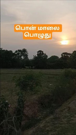 #Sunset #EveningSunset #GoldenHour #Nature #SunsetView #BeautifulSunset #NatureLovers