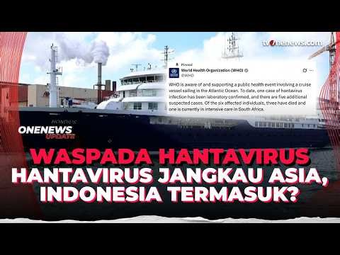 Hantavirus Meluas Asia, Indonesia Termasuk dengan Prevalensi 17,49% pada Tikus | OneNews Update