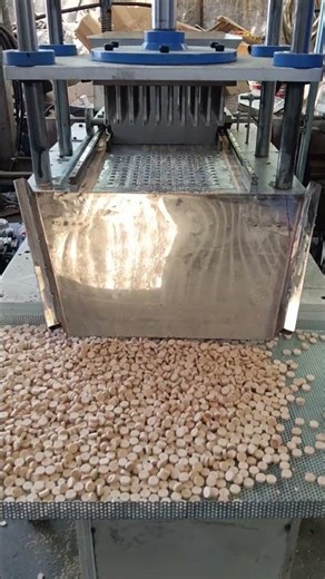 100 Cavity Sambrani Tablet Making Machine #7069474848 #machine #bhavnagar #chamundeshwarifabtech