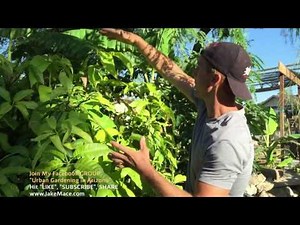 120 Degree GARDEN TOUR in Arizona - WOW!