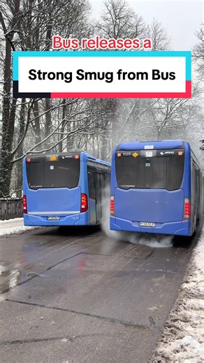 Smug out if the Bus | Pinoy in Munich | Pinoy in Germany | Filipino in Germany @Markus Söder @TikTok Trends @tiktok creators @TikTok Deutschland @tiktokglobal @TikTok #smoke #bus #pinoyinmunich #viral #fyp