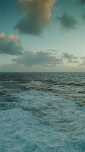 7.2K views · 76 reactions | A pleasure to work shoulder-to-shoulder...