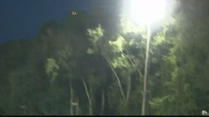 Trinity Christian forced to forfeit games