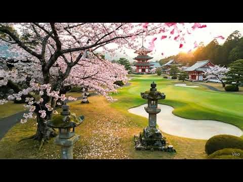 Kyoto - Golf Course