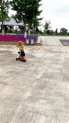 爱骑滑板车的小布丁