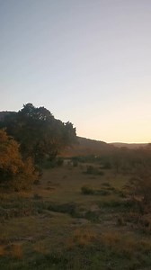 7.2K views · 50 reactions | Beautiful sunset in the African Bush Kingdom #reels #reelsfb #reelsviral #viralpage #video #africa #Amazing #life #Wow #wildlife #travel #trending #trend #reelsvideo #animal #nature #viral #sunset #sunrise | African Bush Kingdom | Facebook