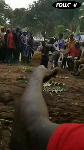 Oke Mmanwu: The Hypnotic Dance of Igbo Masquerades in Moonlight! Part 8 | Igbo Heritage TV