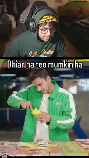 Lizard inside the powerbank ???