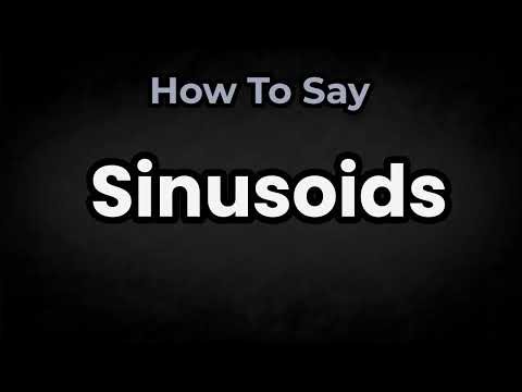 How To Pronounce Sinusoids? (CORRECTLY) Meaning & Pronunciation