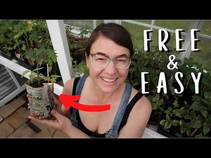 The Easiest Paper Pots Ever!!!