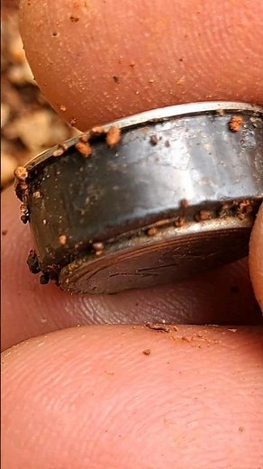 Picking Magnetic Sand #magnet