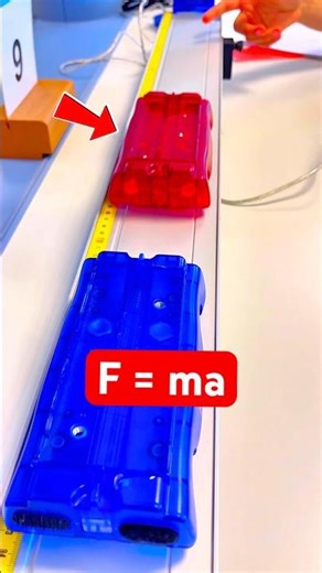 Calculate the mass 🌎 #laboratory #gravity #force #science #physics #experiment