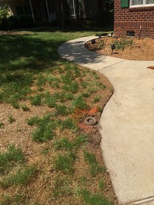 When It's Time for a Fresh Start - Resodding and...