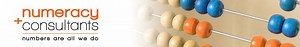 Numeracy Consultants