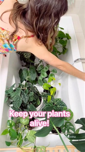 Vacation Plant Care Tip | My Favorite Watering Hack for Plant Parents Travelling | The Bath✈️🛁🌿🫡