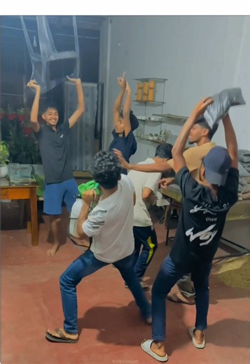 Funny Pigeon Moments