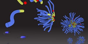 'Theranostic' Nanoparticle Promises Improved Cancer Treatment