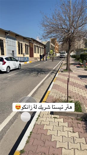 شريك سرداني كردين 😎 #slemani_hawler_dhok_kerkuk_text_r #fyp #kurd #زانکۆ #shrek