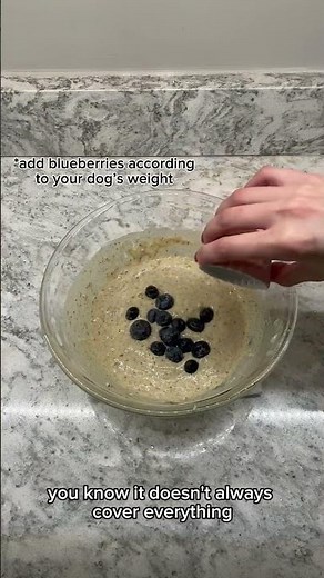 Banana & Blueberry Probiotic Pancakes for Dogs 🫐🐶 | Easy Homemade Dog Treat Recipe