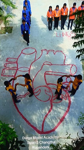 Understanding Blood Circulation in the Heart