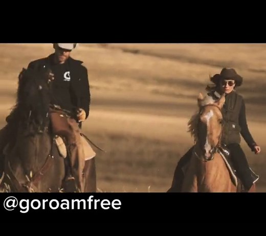 Moving bison on horses with my love in Montana. #bison #love #cowboy #montana #horse #horsesoftiktok #ranchlife