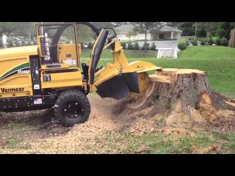 Stumps and Roots Vermeer SC1152