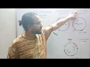 Co integrated vector