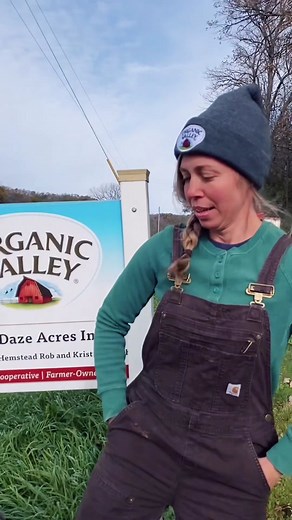 Count the Dairy Cows: How Many Can You Spot?