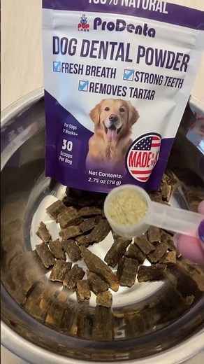 Do you have a older dogs teeth, Try ProDenta Dog Dental