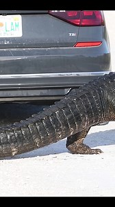 750K views · 22K reactions | I sat and watched a carload of people...