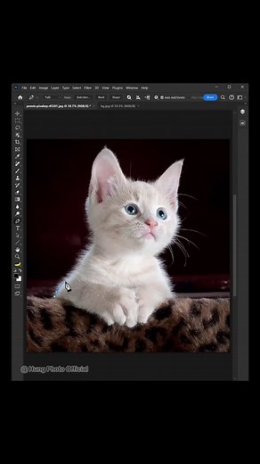 How to remove background in Photoshop #photoshop #photoshoptutorial #photoshoptips #photoshoptricks #photoediting | Hùng Photo Official