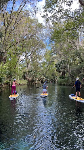 25 reactions | Beautiful day exploring #SilverSprings!  Watershed address: Silver River ➡️ Ocklawaha River ➡️ St. Johns River ➡️ Atlantic Ocean | St. Johns Riverkeeper | Facebook