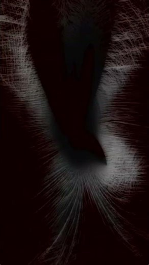 _Visions_in_Contemporary_Art_